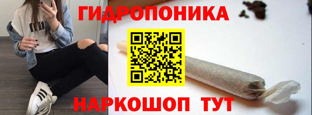 Бошки Шишки гибрид  Вход с VPN  Ефремов  Бошки Шишки VHQ  Марихуана семена  Конопля гибрид 